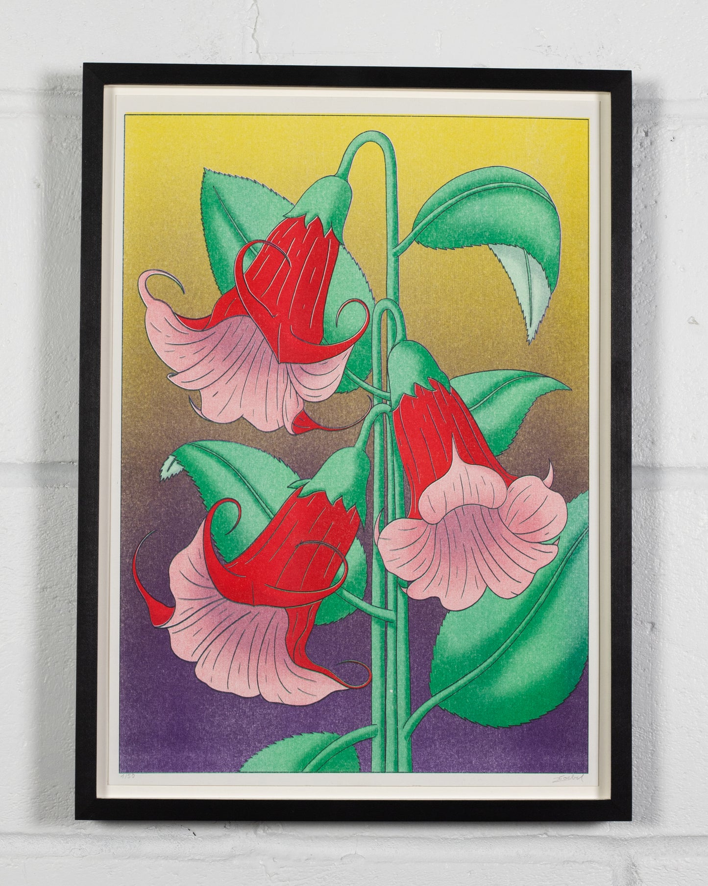 Brugmansia | Limited Edition Risograph Print